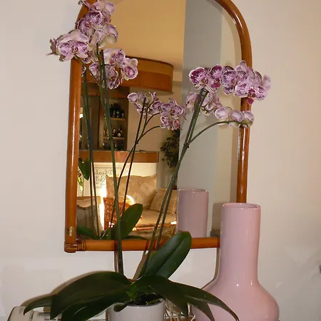 Szálloda Il Piccolo Golf